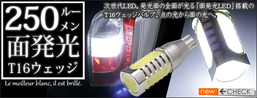 ��«250�롼�����ȯ��T16�����å��Х��