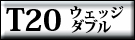 T20d