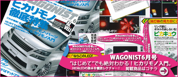 雑誌掲載商品ワゴニスト6月号