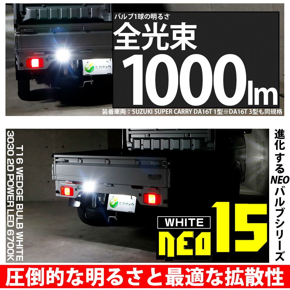 51930-2.jpg
