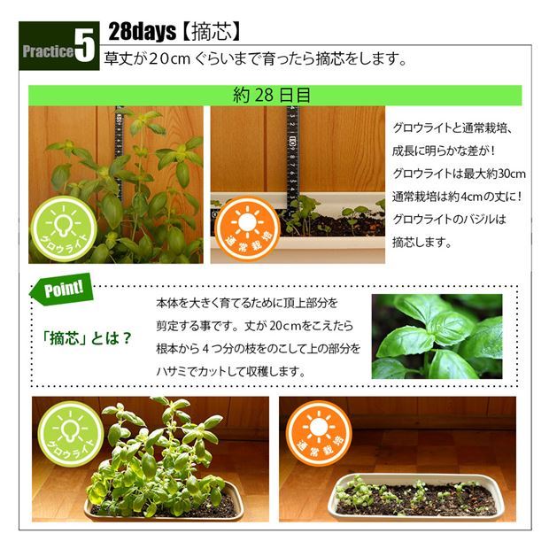 植物育成促進ライト 110W 静音 ファンレス GROWLIGHT 栽培面積 90cm