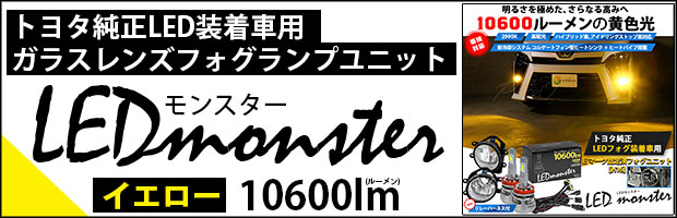 饹󥺥եץ˥å LED MONSTER L10600 