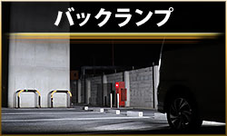 バック