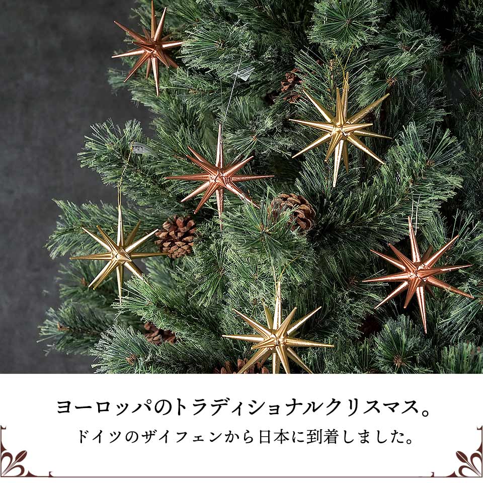 クリスマスオーナメント ベツレヘムの星 ☆ドイツ ALBIN PREISSLER 